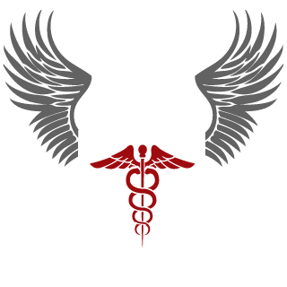 NotMintNinja's emblem