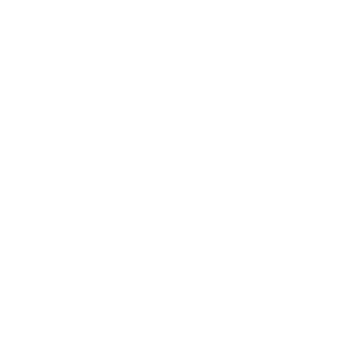sv-1968's emblem