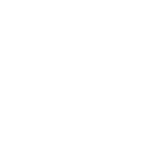 RAZR32's emblem
