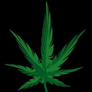 J TRAIN 35's emblem