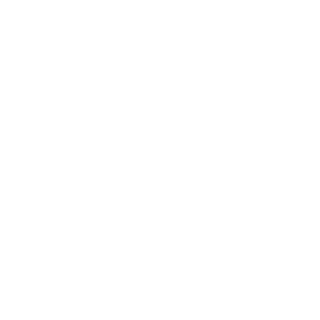 TOPOR666's emblem