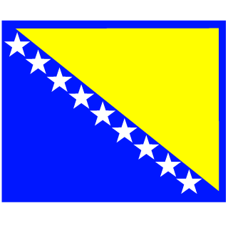 Elvedin_BiH's emblem