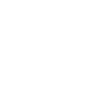 41_Legio's emblem