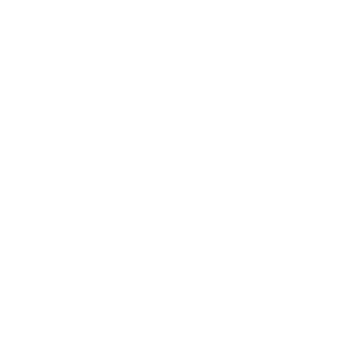 ZitroneFloh8140's emblem