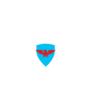 Scraptastic91's emblem