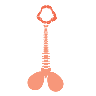 johnplow's emblem