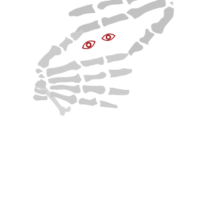 astari1221's emblem