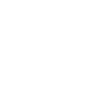 srikar1984's emblem