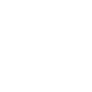 IceStone00's emblem