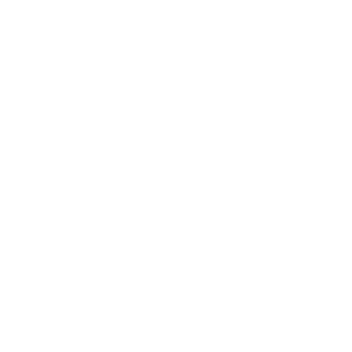 IOECT's emblem