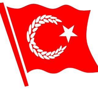 Turkintikam431's emblem
