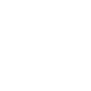 N711982's emblem