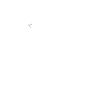 40XL_Breizh-Atak's emblem