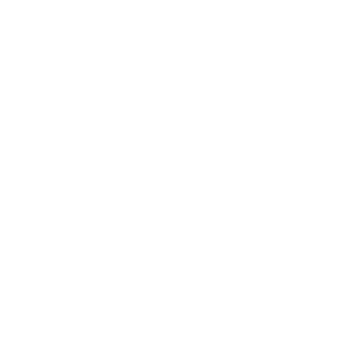 hoopsanitydn's emblem