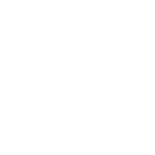 TurkDefender110's emblem