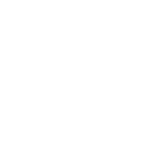 Kamikadzen's emblem