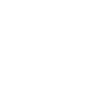 N4rMoon's emblem