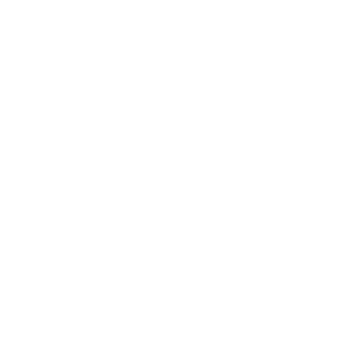 SalblII's emblem