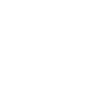 notiralli_115's emblem