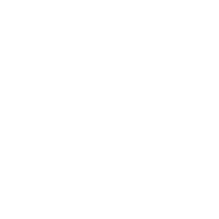Sykotic2K's emblem