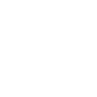 Art3mis_CZE's emblem
