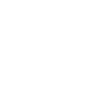 0o0oSo0o0's emblem