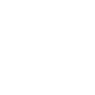 ReconRacoon_YTB's emblem