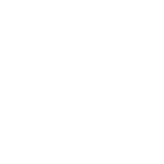 2xDamage's emblem