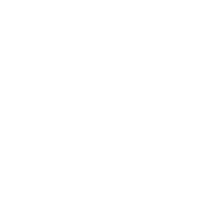 OrangeIdea's emblem