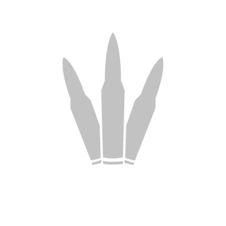 leventp's emblem