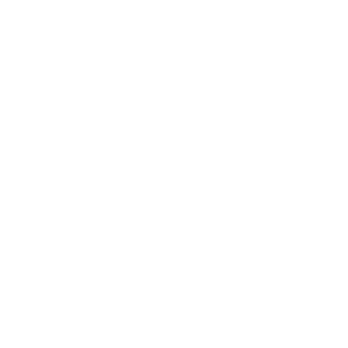 lewisskolnick's emblem