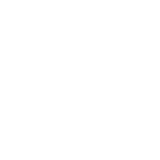 973bfb56a7d3ffa4's emblem
