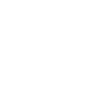 XM258A's emblem