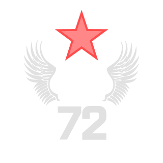 partizan31rus's emblem