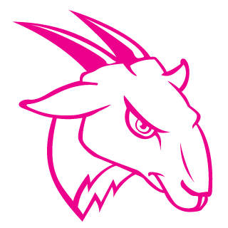 Dimonnik90's emblem
