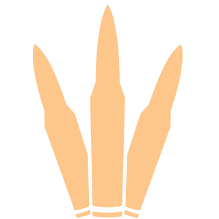 3igMicky's emblem