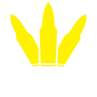 SoloQSuaMaeRxRX's emblem