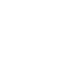 SEGA8bit's emblem