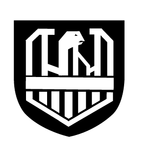 V1per-St0rm's emblem
