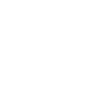 StiManST's emblem