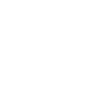 LeePOMI's emblem