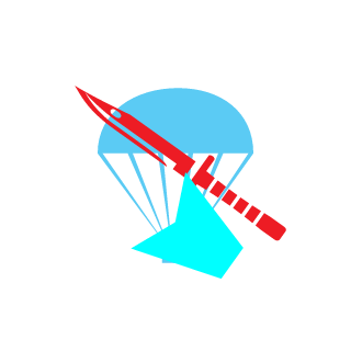 1234rrr's emblem