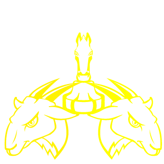 pacha_164's emblem