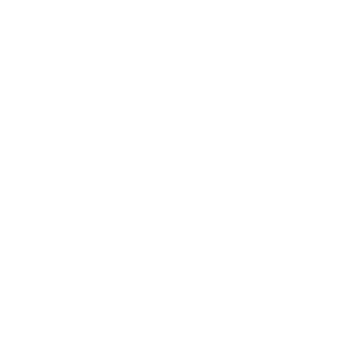 TheDash9's emblem