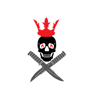 CptStriker_SK's emblem