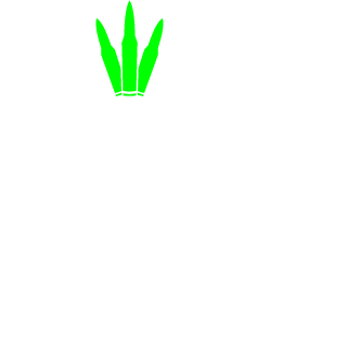 Pro5hoT's emblem