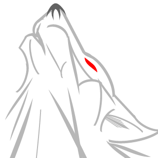 Phoenix4213's emblem