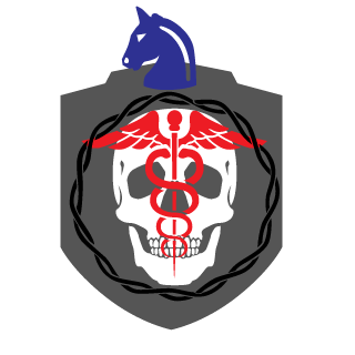 Pedrinho_da_12's emblem