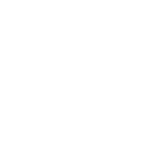 BUGI812's emblem