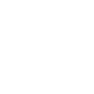 DoubleObject050's emblem